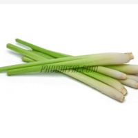 โลชั่นกันยุงตะไคร้หอม แม่ใหญ่ (100 ml)