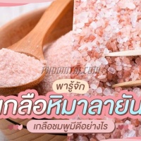 เกลือชมพูป่น จามรี (500 กรัม) <กระปุก>